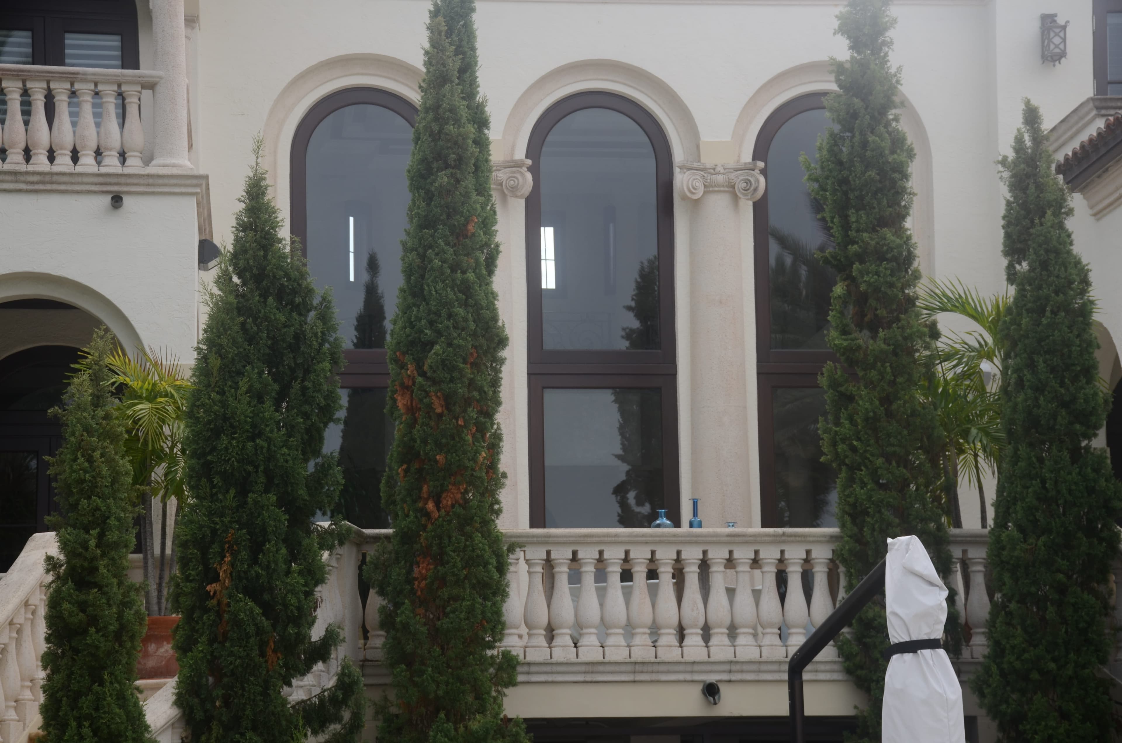 Mahogany fixed window 7
